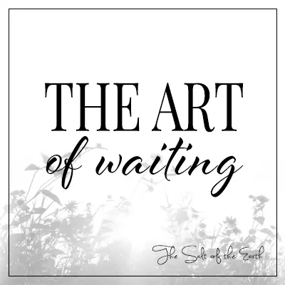 image of flowers with blog title the art of waiting