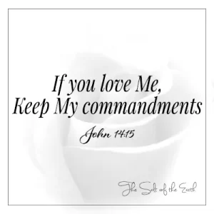 white image rose with bible verse john 14-15 if you love me keep my commandments