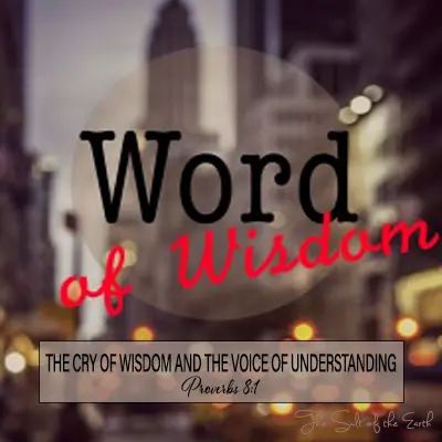 image city with title word of wisdom the cry of wisdom and voice of understanding proverbs 8-1