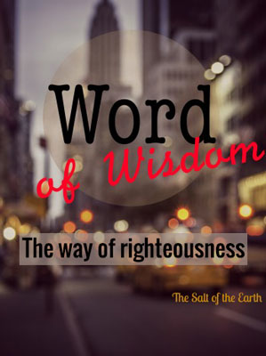Proverbios 8:20-21 I lead in the way of righteousness