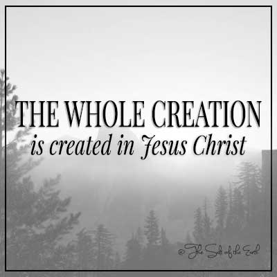 image mountains and pine-trees with title the whole creation is created in Jesus Christ