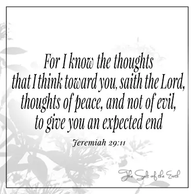 image flowers with bible verse Jeremiah 29-11 For I know the thoughts that I think toward you, saith the LORD, thoughts of peace, and not of evil, to give you an expected end.