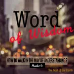 image city with text word of wisdom and blog title how to go in the way of understanding proverbs 9-6