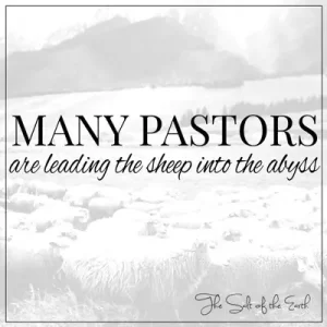 image sheep and title many pastors are leading the sheep into the abyss