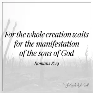 image wilderness with bible verse romans 8-19 for the whole creation waits for the manifestation of the sons of God