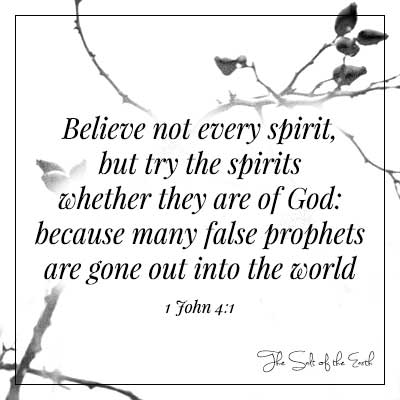 image thorn branch bible verse 1 John 4-1 believe not every spirit but try the spirits whether they are of God because many false prophets are gone out into world