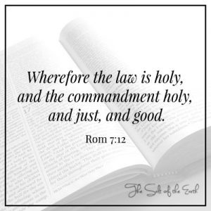 ローマ人 7:12 The law is holy and the commandment is holy just and good