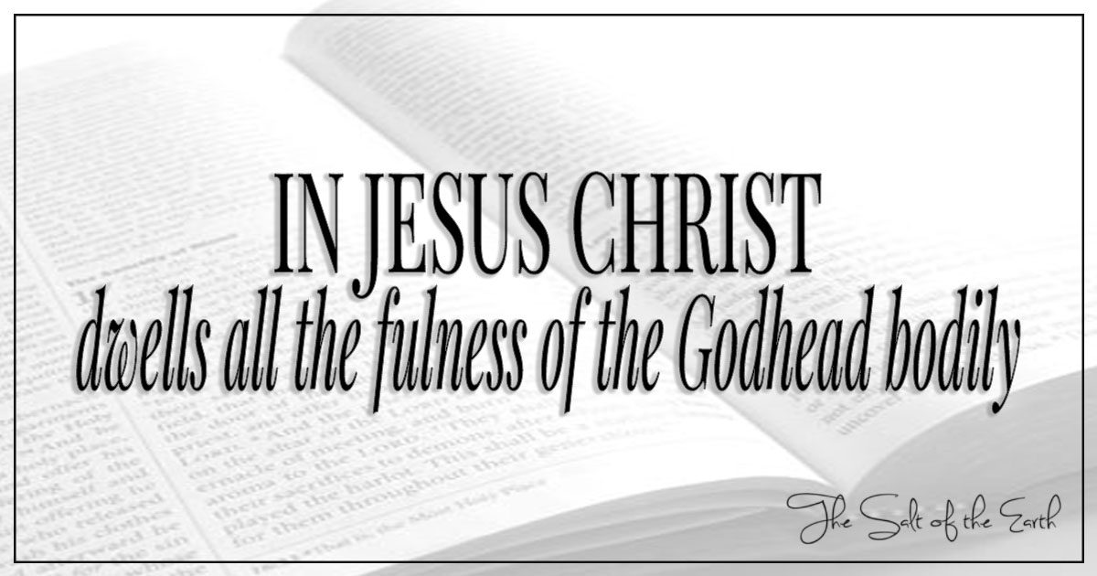 What Does It Mean In Jesus Christ Dwells All The Fulness Of The Godhead  Bodily?