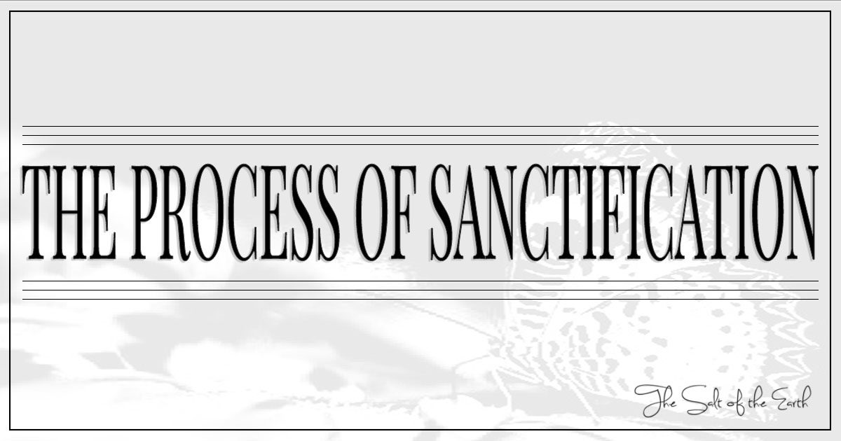 what-is-the-process-of-sanctification-salt-of-the-earth