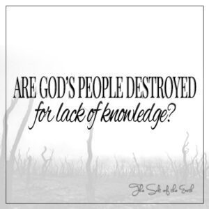 image wilderness with blog title are God's people destroyed for lack of knowledge?