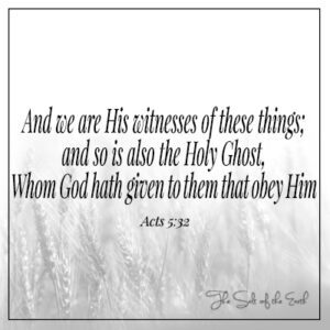 Handelinge 5-32 we are His witnesses of these things and so is Holy Ghost