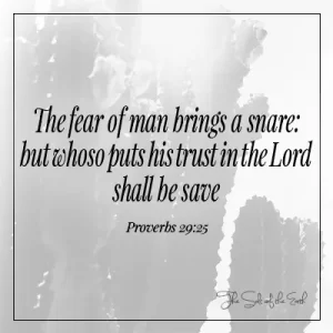 잠언 29-25 Fear of man brings a snare but whoso trust in the Lord shall be save