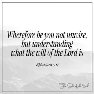 Efesis 5:17 wherefore be ye not unwise but understanding what the will of God is