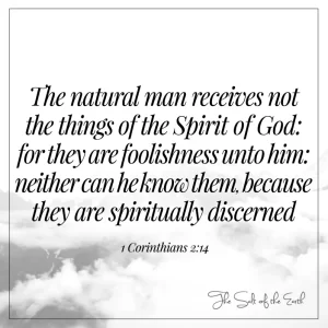 image clouds with bible verse 1 corinthians 2-14 the natural man receives not the things of the Spirit of God for they are foolishness unto him