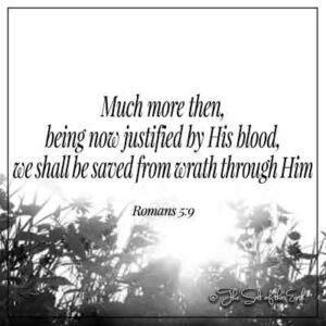 image flowers and bible verse romans 5-9 much more then being now justified by his blood we shall be saved from wrath through him