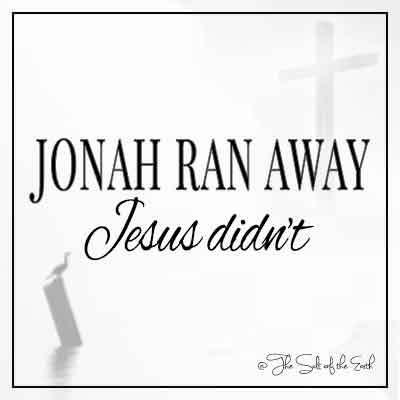 image cross and bird perching on pole and article title jonah ran away Jesus didn't