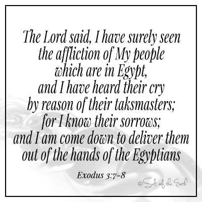 image chain and bible verse exodus 3-7-8 The Lord said i have seen the affliction of my people which are in Egypt and have heard their cry and i am come to deliver them