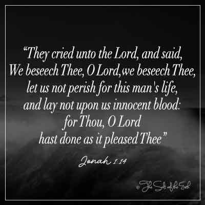 image storm sea waves and bible verse jonah 1-14 they cried unto the lord we beseech thee O Lord let us not perish for this man's life and lay not upon us innocent blood for thou o lord hast done as it pleased thee