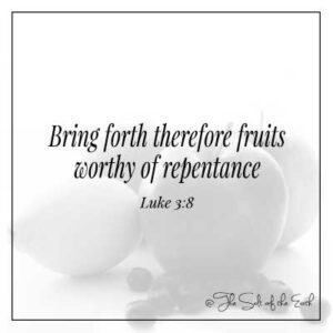 Image Fruits et verset biblique Luc 3-8 produire donc des fruits dignes de repentance