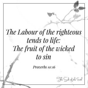 image branch and bible verse proverbs 10-16 labour of the righteous tends to life the fruit of the wicked to sin