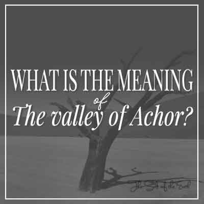 image tree in valley and blog title what is the meaning of the valley of achor